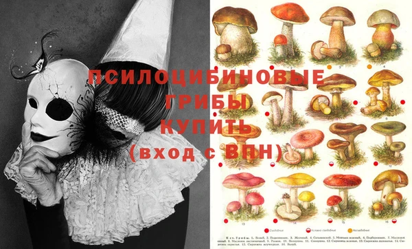 гашишное масло Балахна