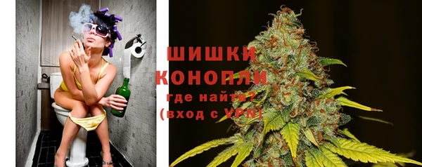 эйфоретик Арсеньев