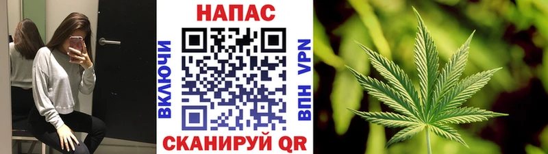 Канабис план  продажа наркотиков  omg как зайти  Нытва 